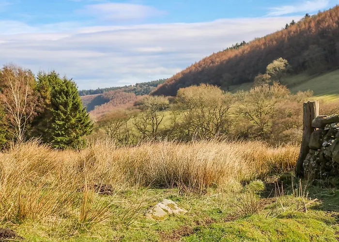 Thompson Rigg Barn Holiday home *