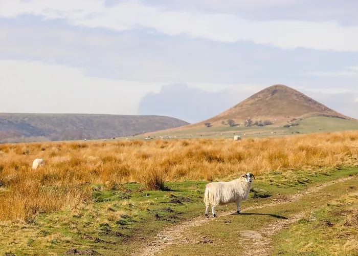 Thompson Rigg Barn Holiday home Scarborough